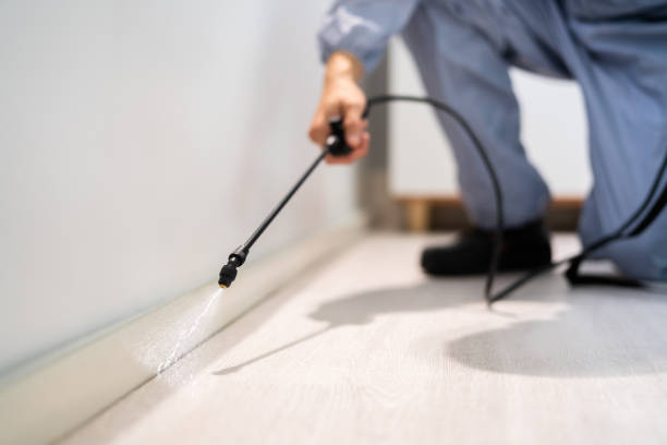 Licensed Rodent Control service in View Park-Windsor Hills, CA - Nex Pest Control