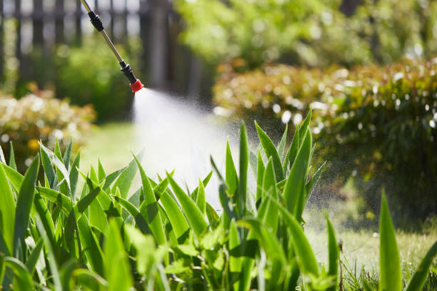 24/7 Emergency Rodent Control experts in View Park-Windsor Hills, CA