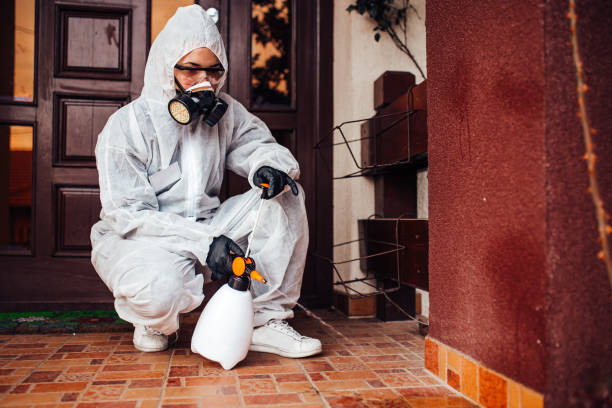 Reliable Rodent Control contractor in View Park-Windsor Hills, CA by Nex Pest Control