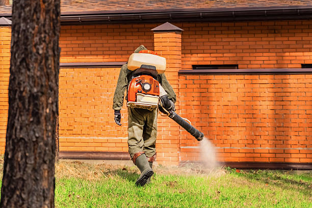 Trusted Fumigation Services service in View Park-Windsor Hills, CA - Nex Pest Control